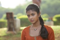 Amala Paul New Photos